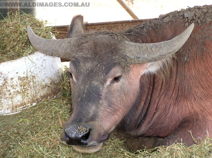 678x501 pixels (249K)